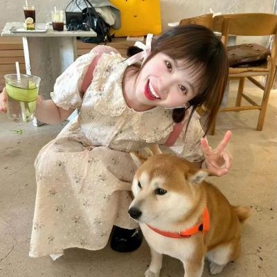 晨缘暮恋